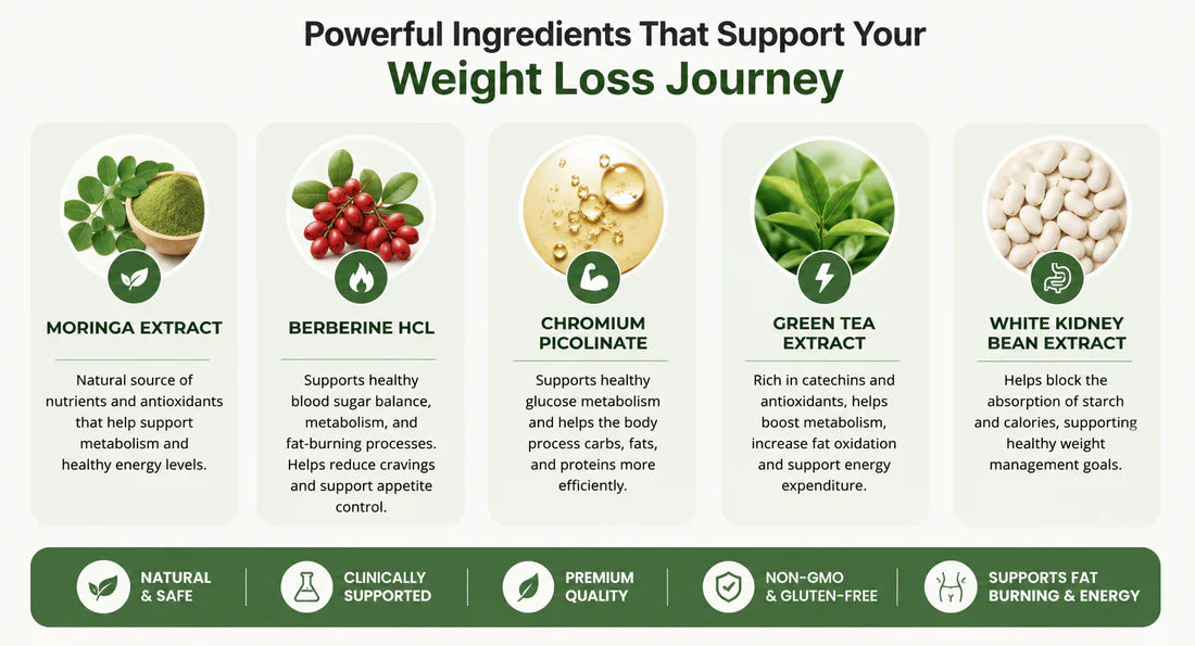 Microneedle wellness patch ingredients